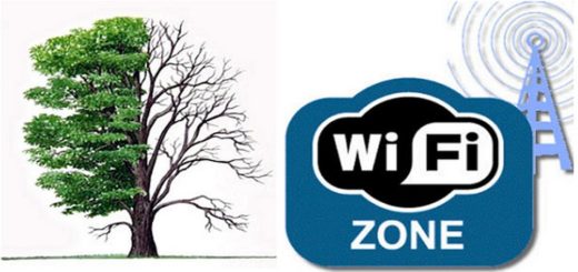 Влияние деревьев и Wi-Fi сигнал деревья и Wi-Fi