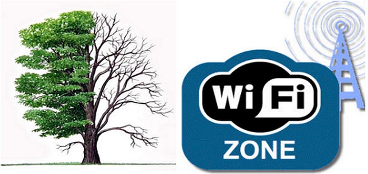 Влияние деревьев и Wi-Fi сигнал деревья и Wi-Fi