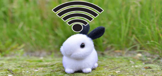 кролик и вайфай