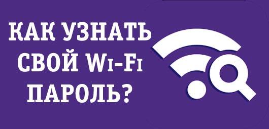 Как узнать свой пароль Wi-Fi в Windows 11 Как узнать свой пароль Wi-Fi в Windows 11