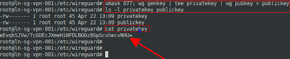 wireguard privatkey